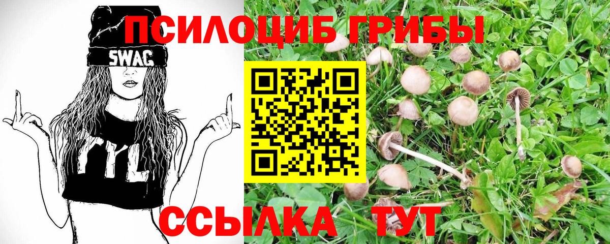 Галлюциногенные грибы MAGIC MUSHROOMS  Вход с VPN  Сибай  Галлюциногенные грибы прущие грибы 
