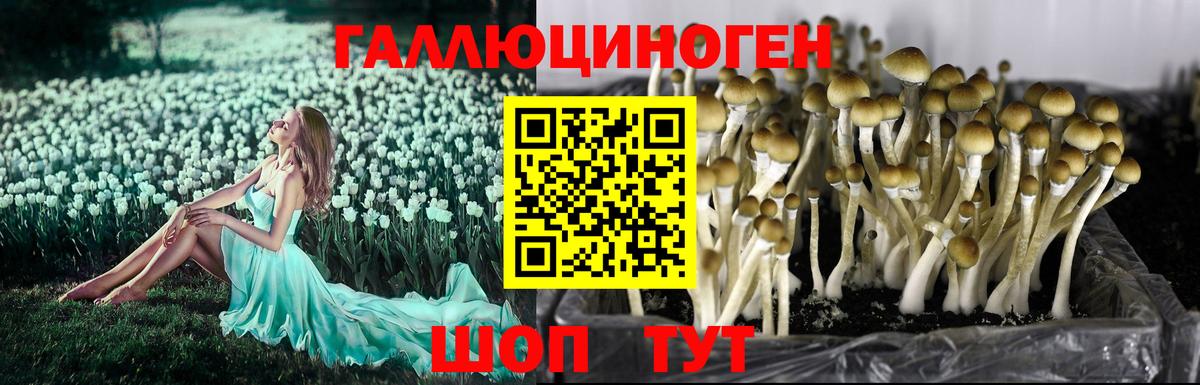 Псилоцибиновые грибы прущие грибы Сибай